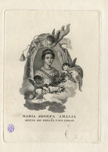 MARIA JOSEFA AMALIA : REYNA DE ESPAÑA Y SUS INDIAS