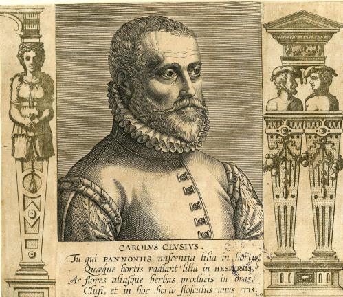 CAROLUS CLUSIUS