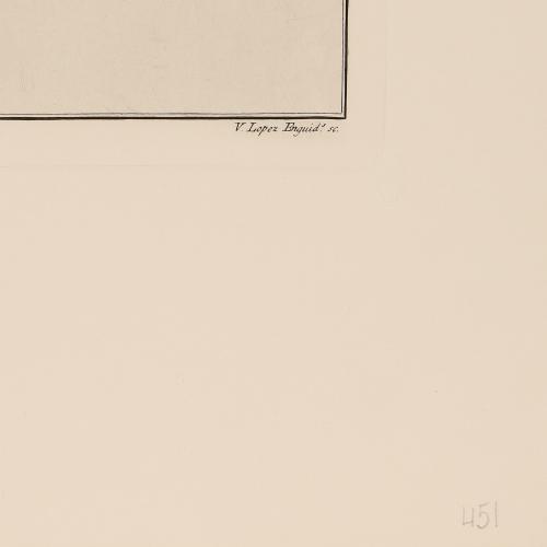 519 Lobelia Barbata