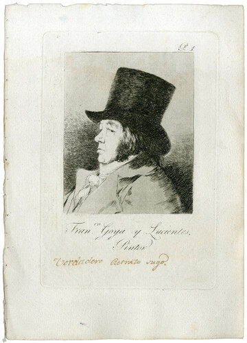 Francisco Goya y Lucientes, pintor 