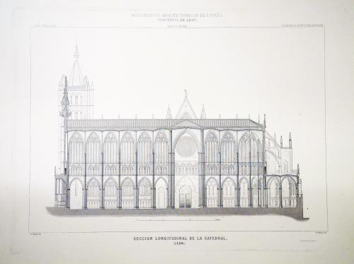 León. Sección longitudinal de la Catedral