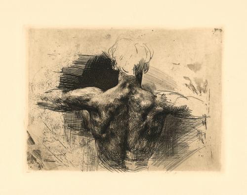 Torso desnudo