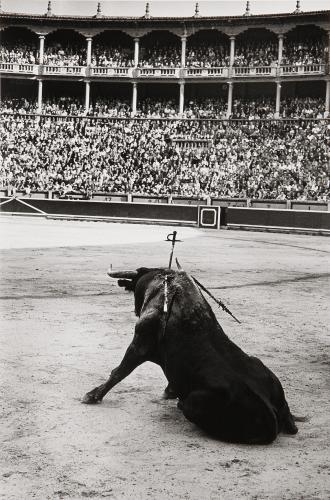 Sanfermines. (Pamplona)