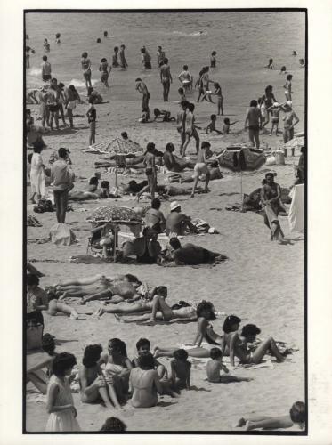 Playa del sardinero. (Santander)