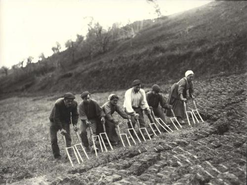 Campesinos trabajando