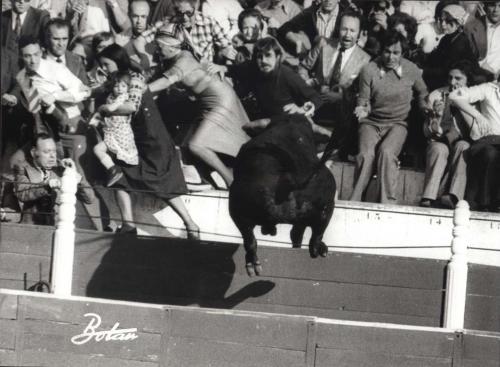 Salto del toro  en la Plaza de Vista Alegre (Madrid)