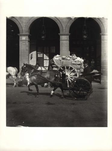 Carruajes en la Plaza Mayor de Madrid