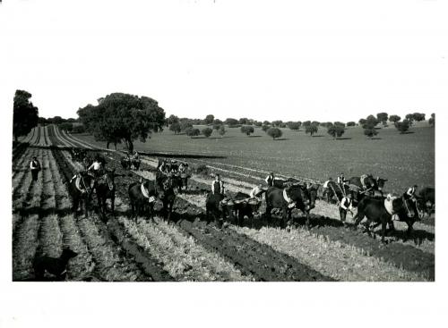 Labranza en la provincia de Albacete