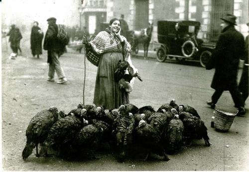 Vendedora de pavos en la plaza Santa Cruz (Madrid)