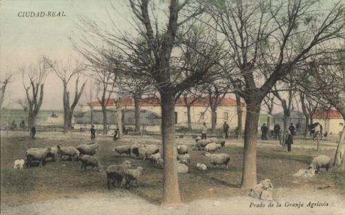 Prado de la Granja Agrícola (Ciudad Real)