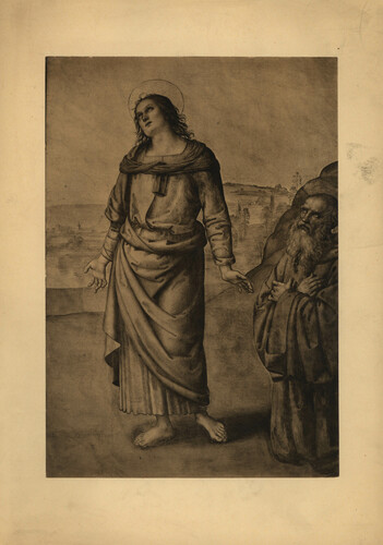 Peregrino