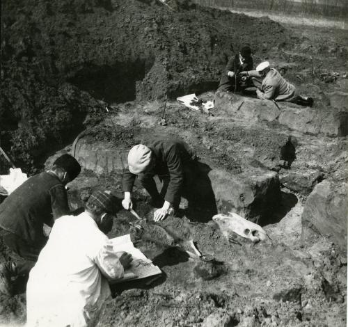 Une sépulture de la cimetière de Cikó (Hungría)