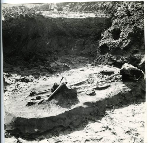 Une sépulture de la cimetière de Cikó (Hungría)