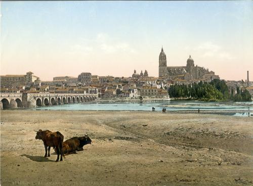 SALAMANCA:  vista general con Puente Romano