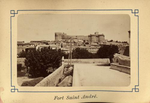 Avignon. Fort Sain André