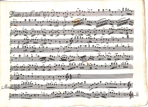 Sei duetti per due flauti traversieri [Música manuscrita] / del Sig[no]re: Giuseppe Cristiano Lidarti.