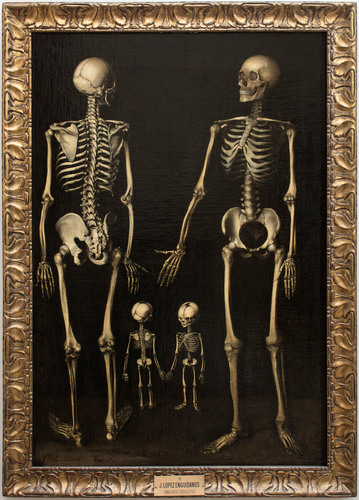 Familia de esqueletos