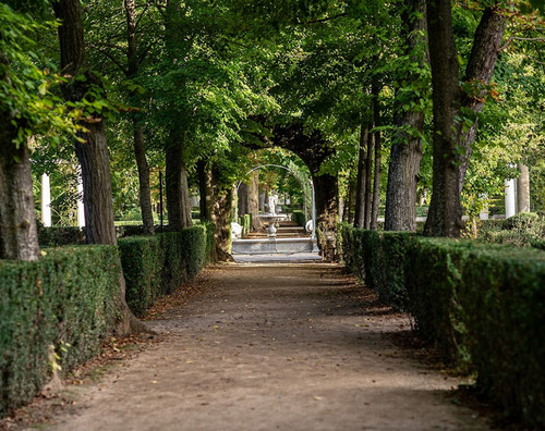 Jardín
