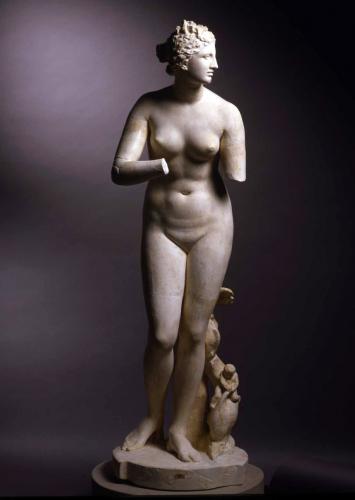 Venus  Medici
