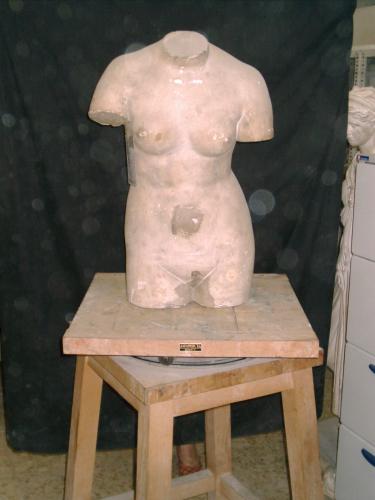 Torso de la Venus Medici