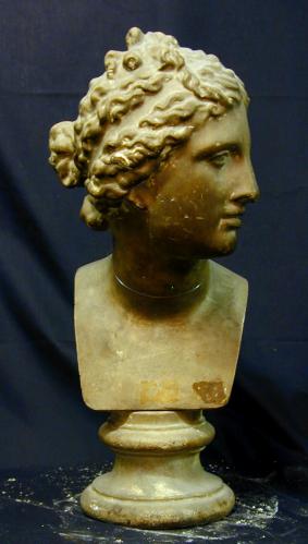 Venus de Medici (copia de la cabeza)
