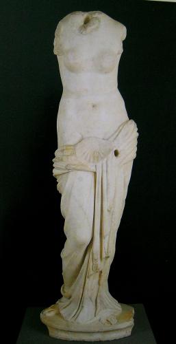 Venus de la concha