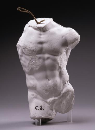 Torso masculino