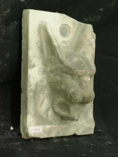 Relieve de un perro