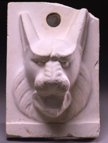 Relieve de un perro