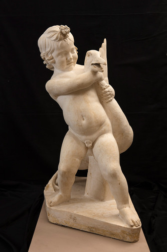 Niño de la oca