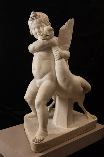 Niño de la oca