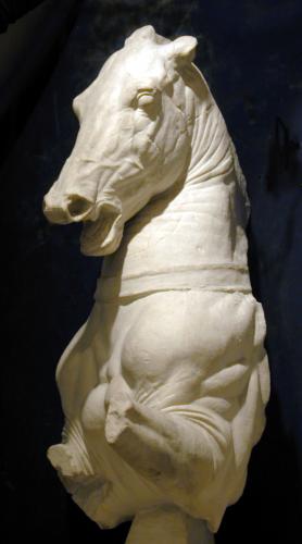 Torso de caballo