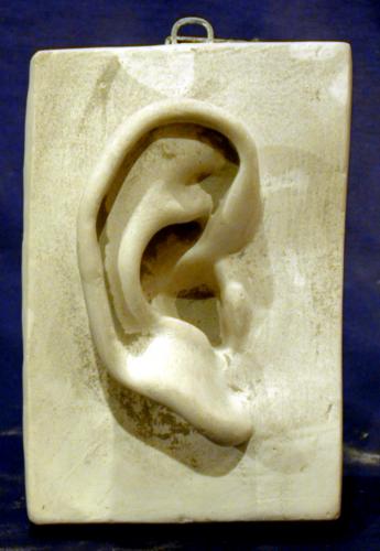 Partes del cuerpo: oreja masculina