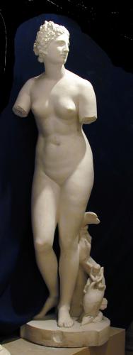 Venus de Medici