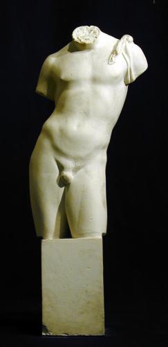 Torso masculino